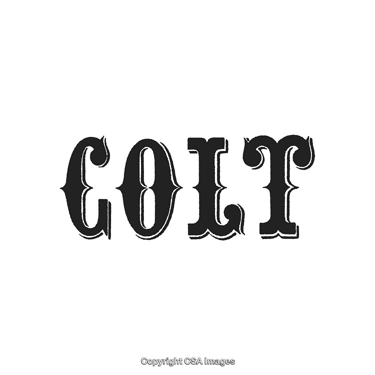 Vintage Decorative Text Design Featuring Bold Western-Style Lettering