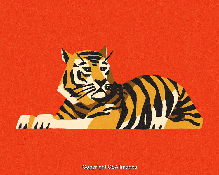 Stylized Illustration of a Tiger Resting on a Bold Red Background