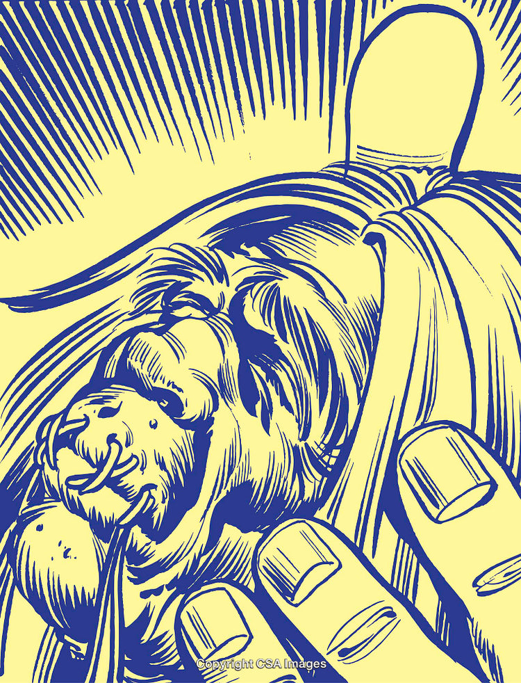 Illustrated Lion Portrait in Blue and Yellow Art Style