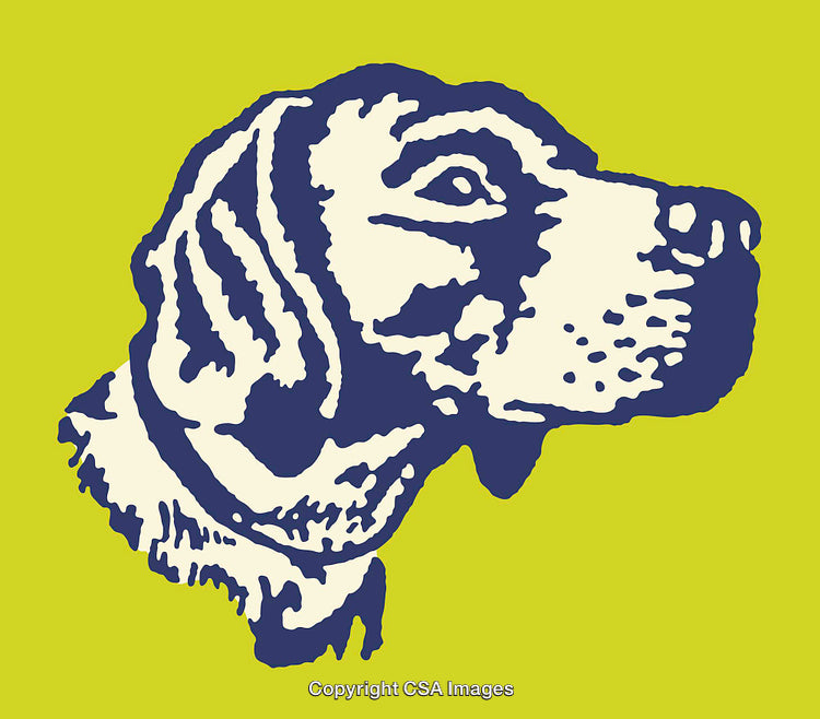 Colorful Line Art Portrait of a Dog With Green Background