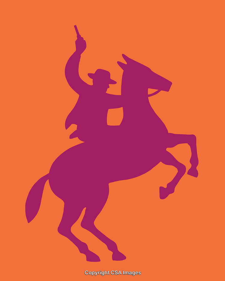 Silhouette Art of Rider on Horseback in Bold Colors