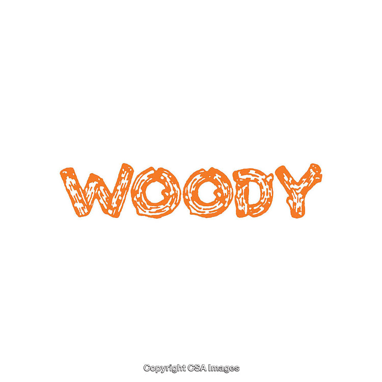 Rustic Wood-Inspired Text Design with Warm Orange Tone on White Background