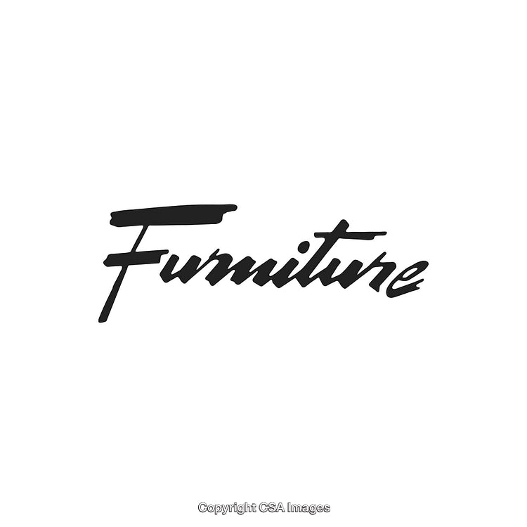 Stylized Black Handwritten Font Displaying the Word 'Furniture' on White Background