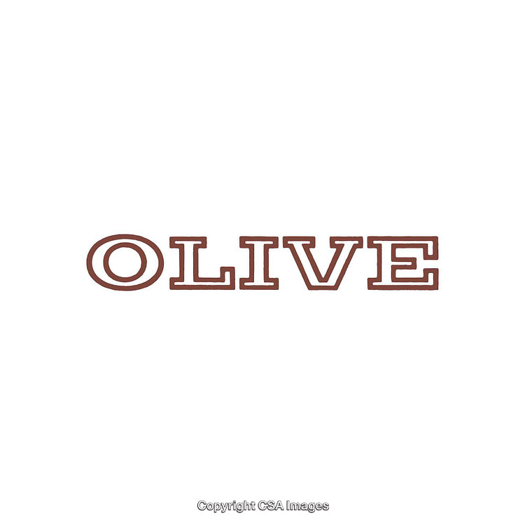 Word Art Featuring the Word Olive in Bold Typeface on a White Background