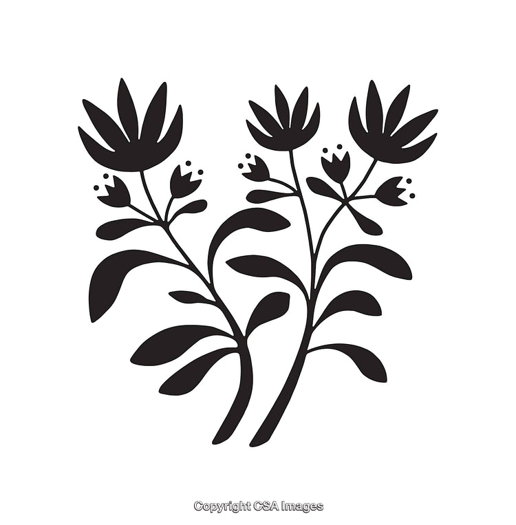 Black and White Botanical Flower Line Artwork Isolated on White Background