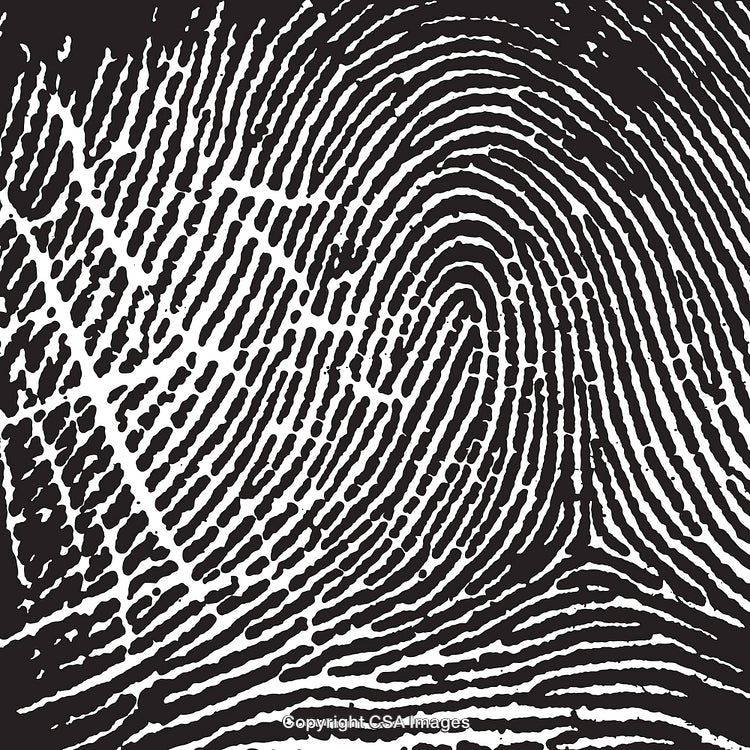 Black and White Detailed Fingerprint Pattern Abstract Background