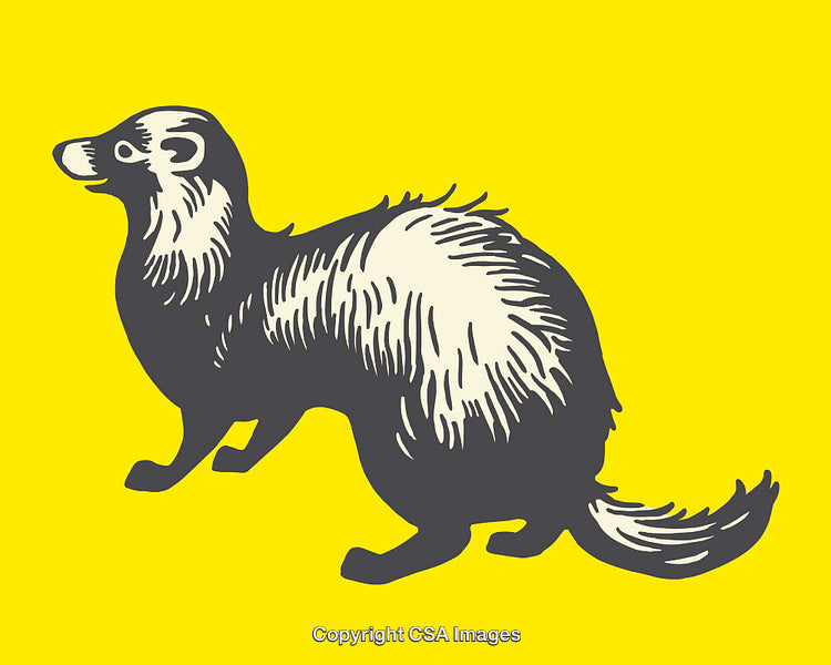 Illustration of a Ferret on Bright Yellow Background in Stylized Art