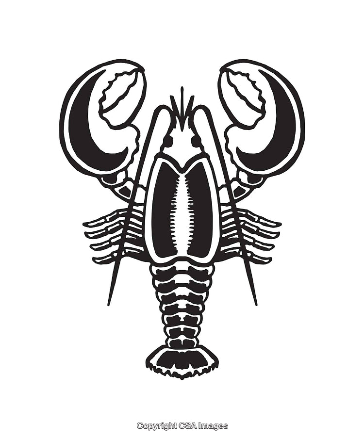 Black and White Lobster Line Art Illustration with Detailed Design