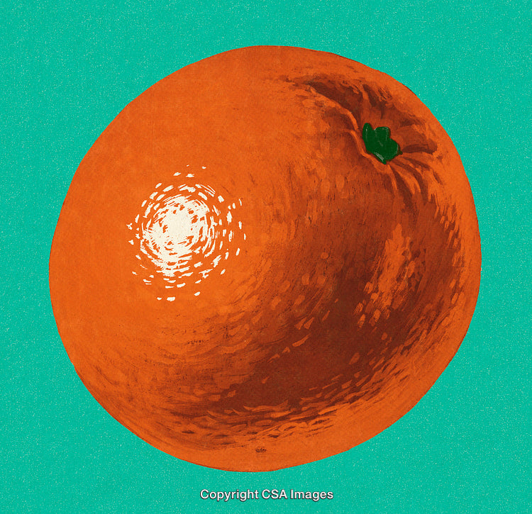 Vibrant Orange Illustration Against a Turquoise Background