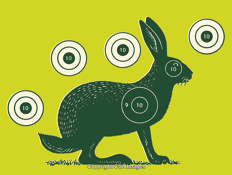 Stylized Rabbit Illustration with Target Patterns in Green Color Scheme