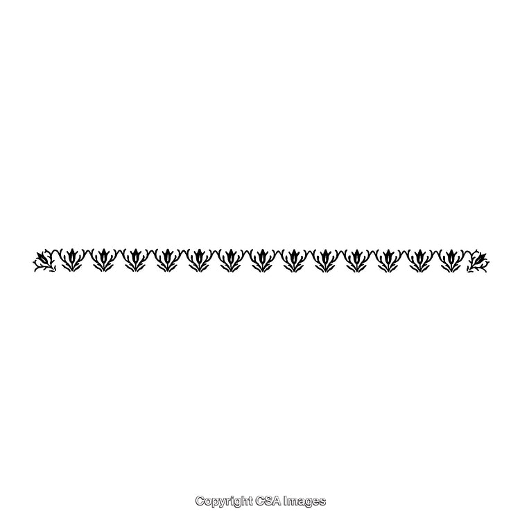 Elegant Black and White Floral Style Decorative Border Illustration