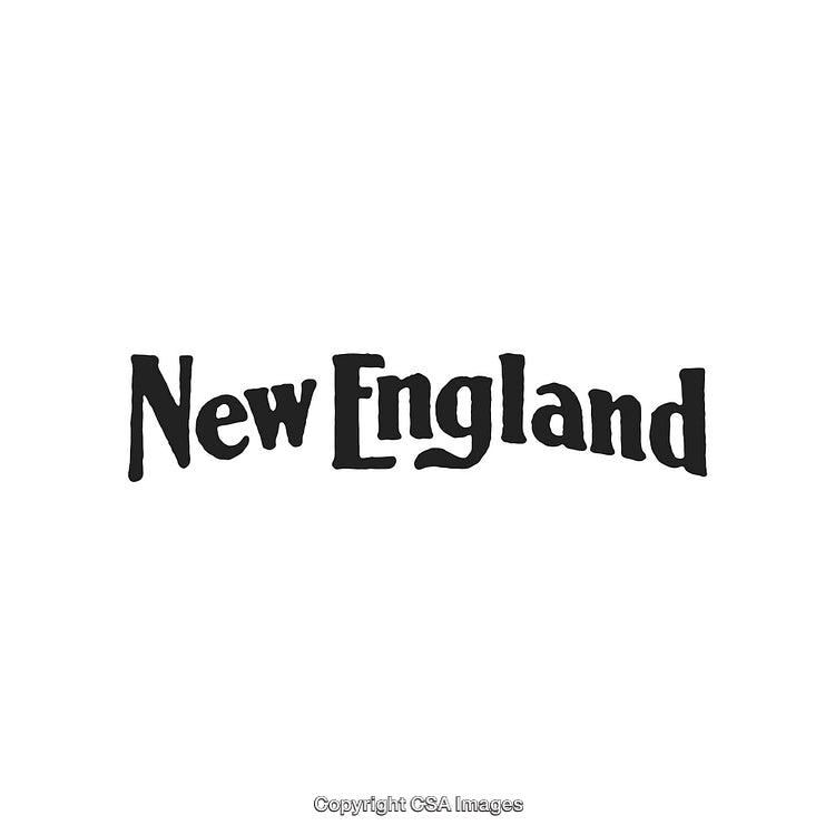 Stylized Black Text Logo Writing New England on White Background