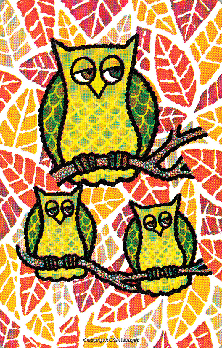 Colorful Cartoon Owls Sitting on Branch with Vibrant Leafy Background