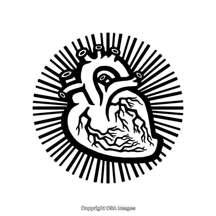 Black and White Anatomical Heart Illustration with Radiating Lines