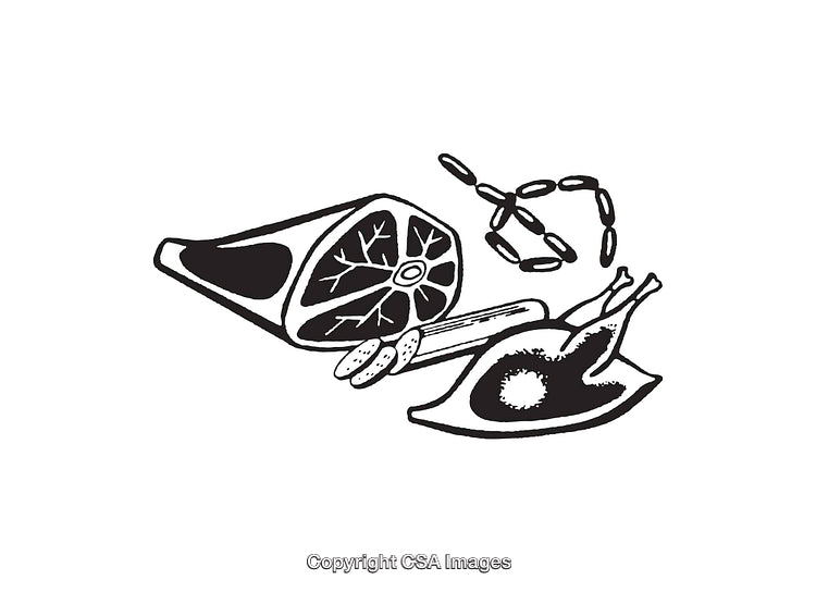 Black and White Line Art of Meat and Sausage Illustration