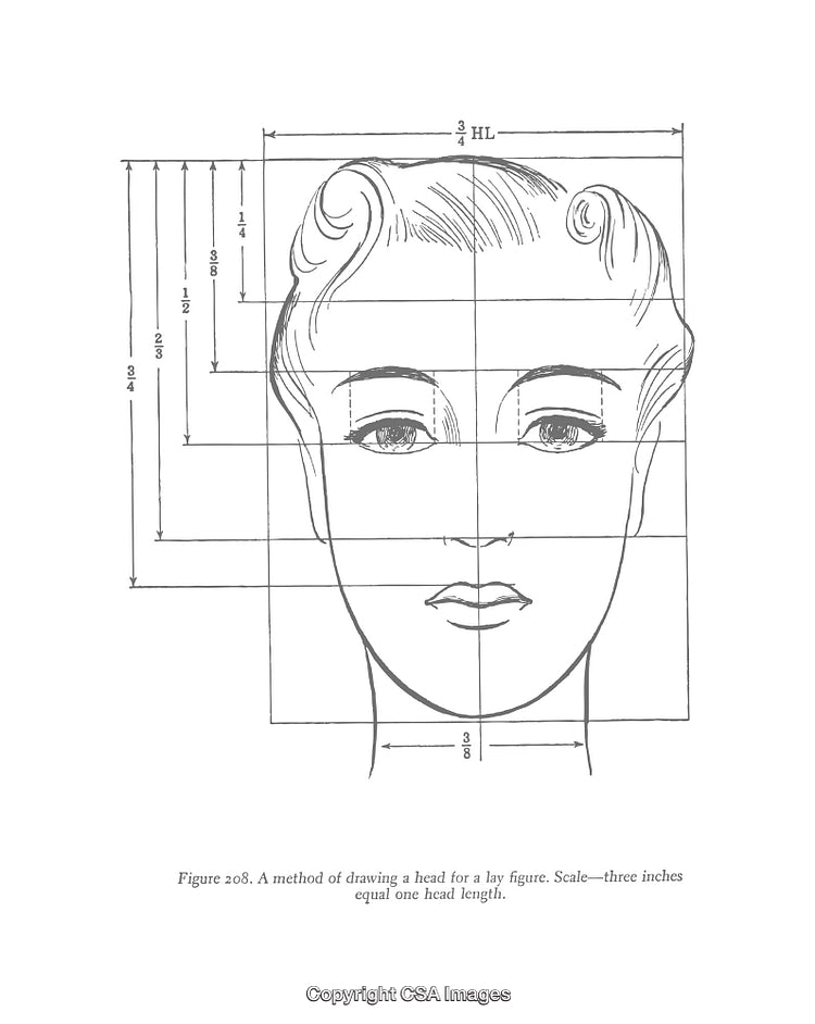 Detailed Diagram of Proportions for Drawing a Human Head Portrait