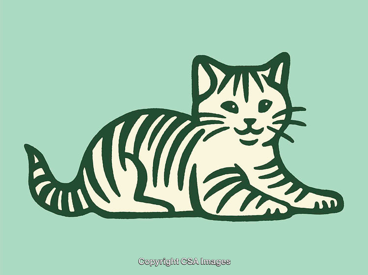 Charming Line Illustration of a Relaxed Striped Cat on a Teal Background
