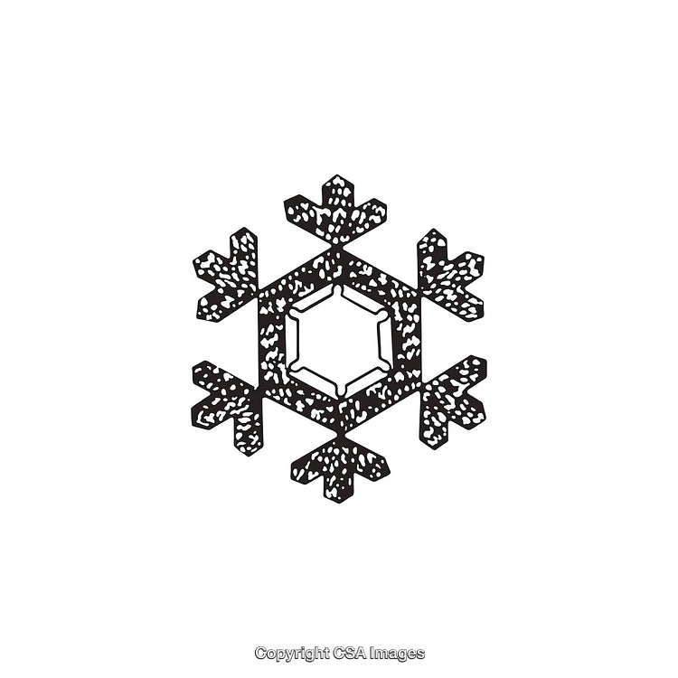 Black and White Snowflake Graphic Illustration with Intricate Detail