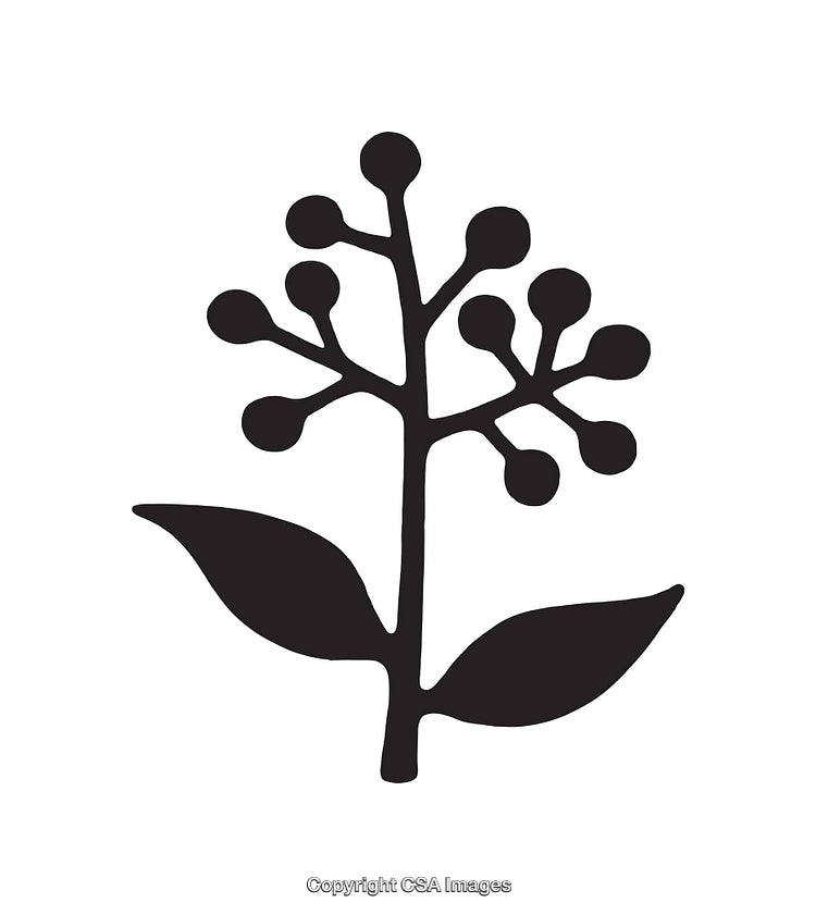 Minimalist Black and White Plant Icon with Circular Details