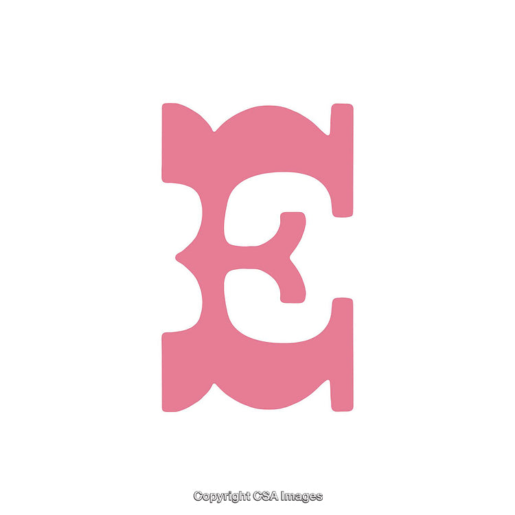 Stylized Pink Letter 'E' With Artistic Symmetry Design