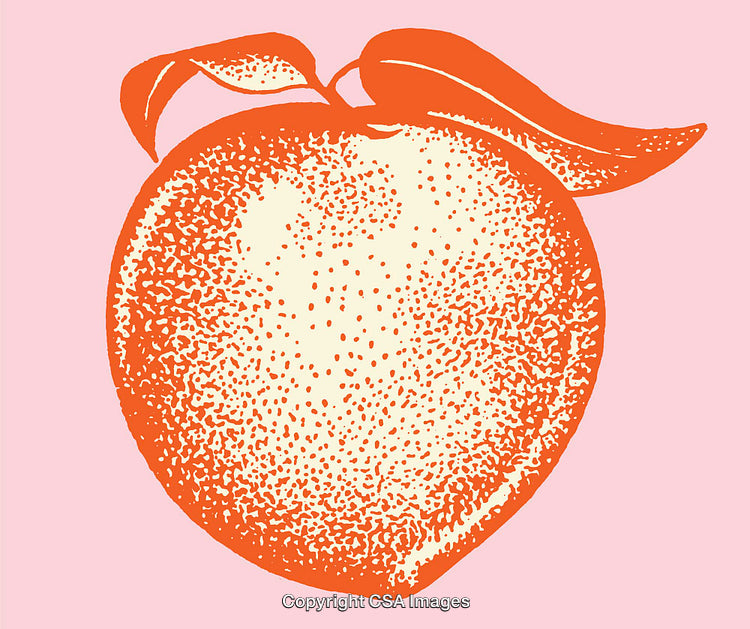 Vintage Peach Illustration on Pink Background with Vibrant Colors