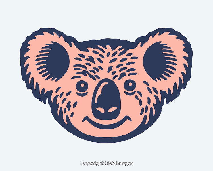 Cute Koala Illustration with Bold Simple Line Art Style and Soft Colors