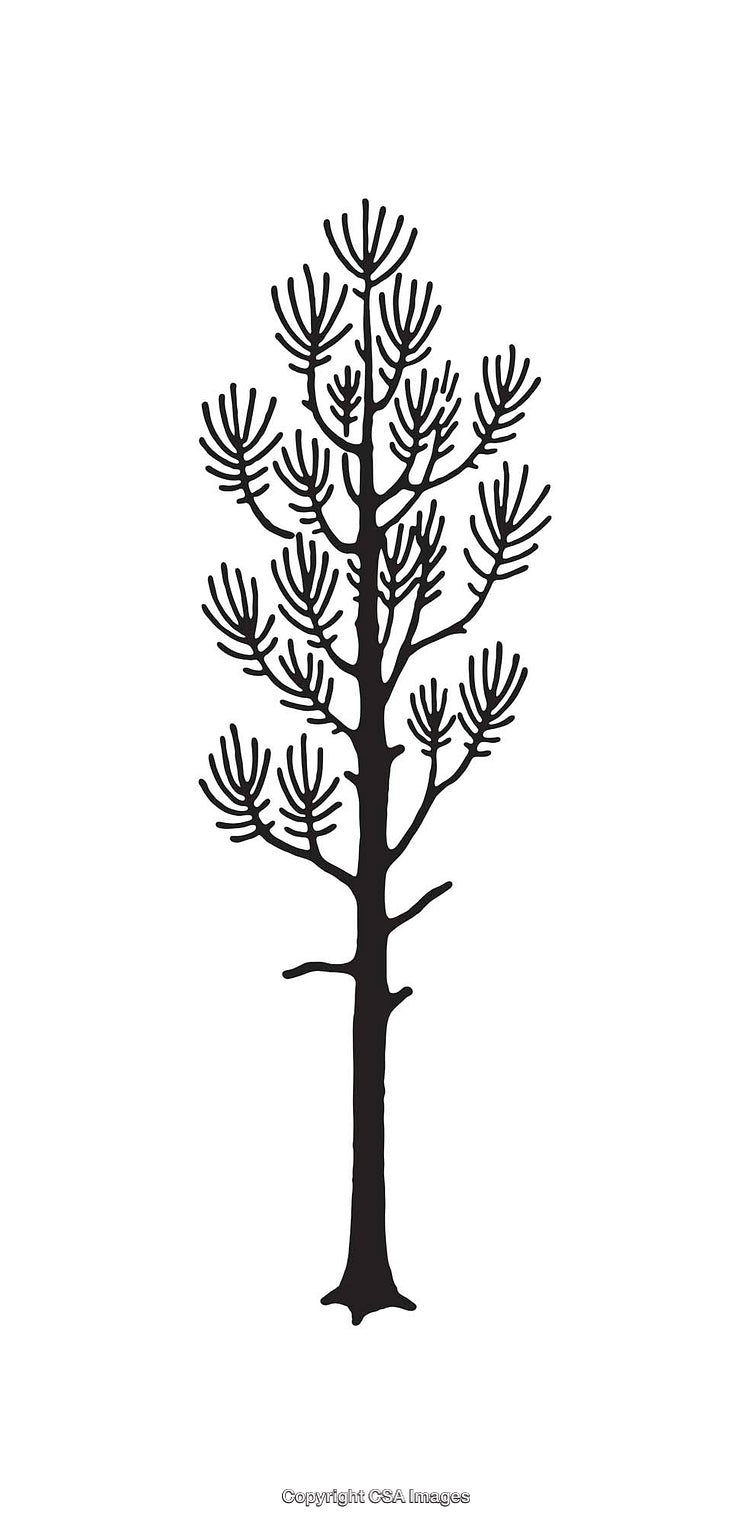 Black and White Line Art of a Tree Symbolizing Nature and Growth