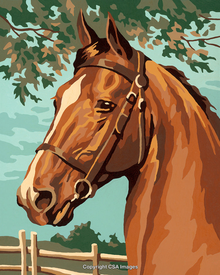 Paint By Number Illustration of a Horse in a Serene Rural Setting