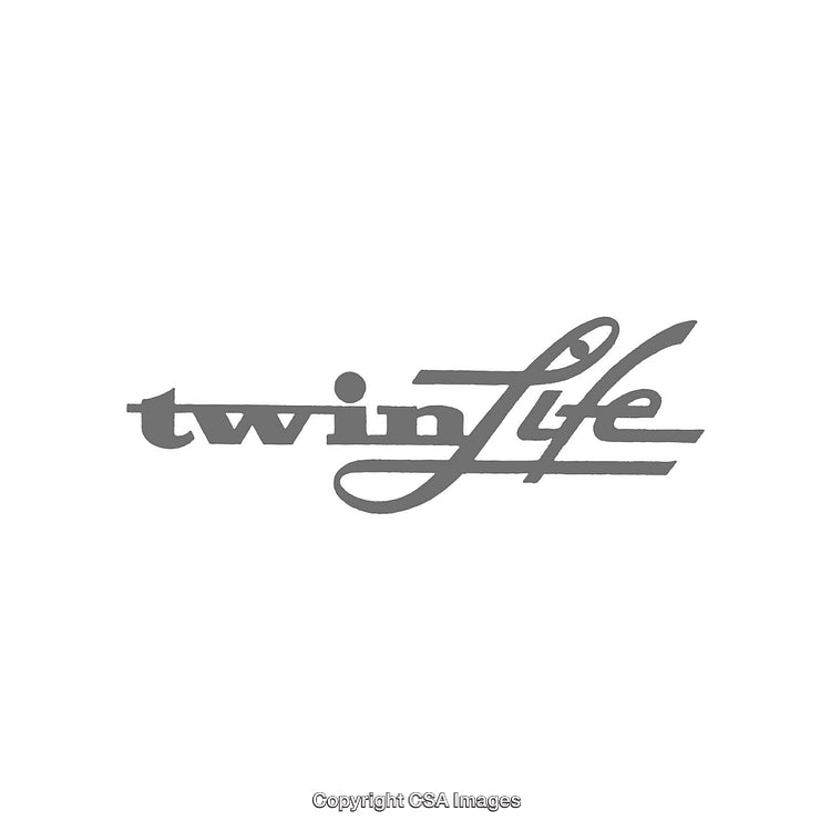 Stylized Twin Life Text Logo in Monochromatic Design