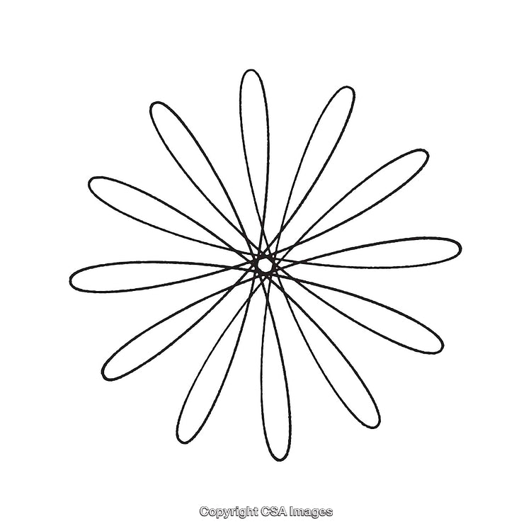 Elegant Abstract Black and White Floral Geometric Line Art Design