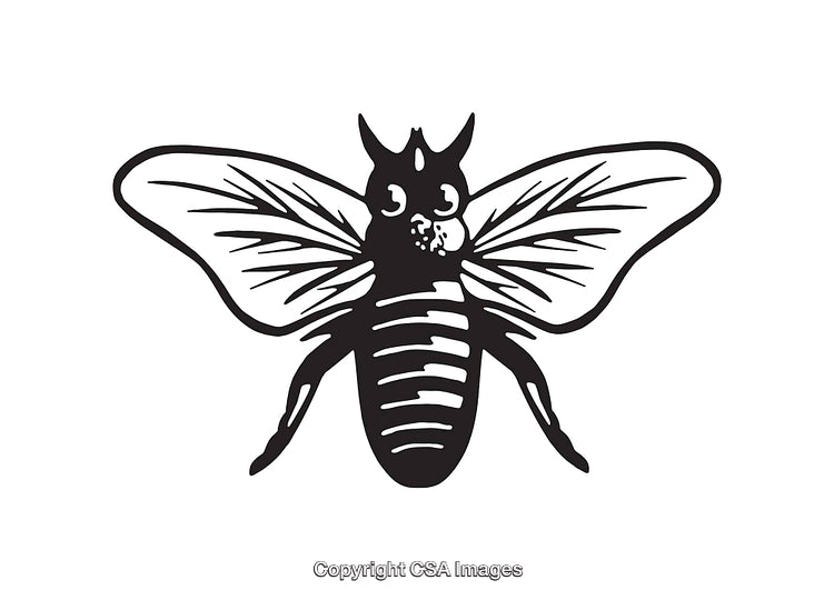 Detailed Black and White Insect Line Art Illustration in Minimalist Style