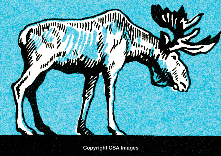 Minimalist Artwork of a Moose in Profile on a Blue Background