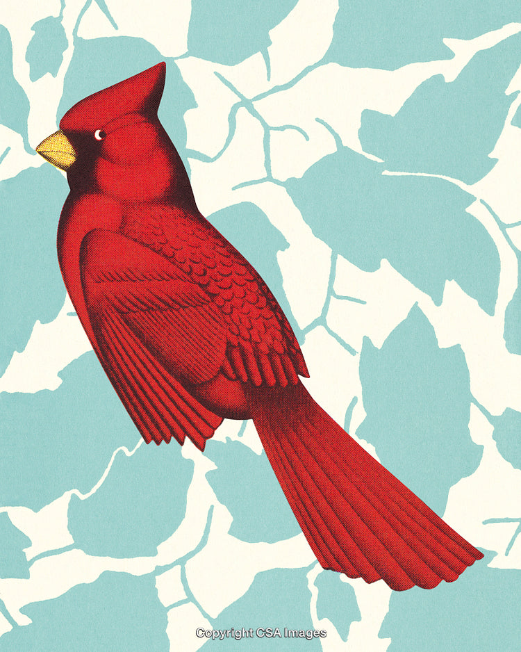 Vintage Illustration of a Bright Red Cardinal on a Botanical Background