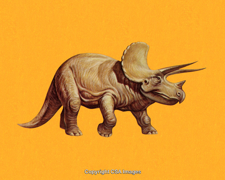 Illustration of Triceratops Dinosaur on a Vibrant Orange Background