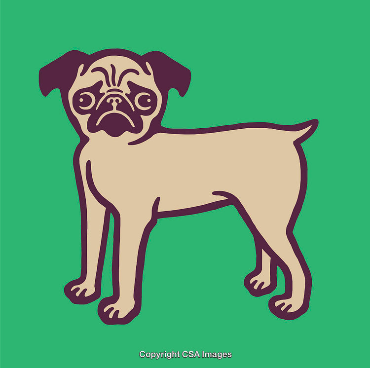 Colorful Line Art Illustration of a Small Dog Standing on a Green Background