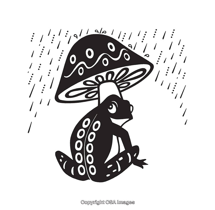 Frog Sheltering Under a Mushroom During Rain in Black and White Illustration