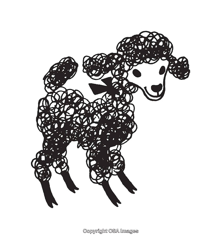 Black and White Line Art of a Stylized Poodle Illustration