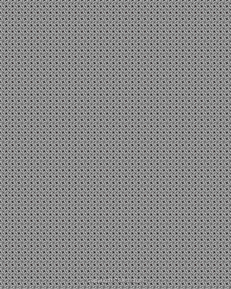 Abstract Black and White Patterned Background with Intricate Symmetrical Designs