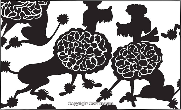 Seamless Black and White Poodle Pattern Decorative Background