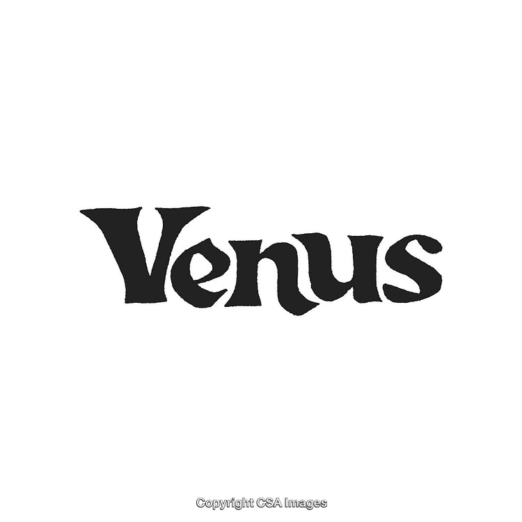 Stylized Black Text Logo Design Featuring the Word "Venus" in Bold Letters