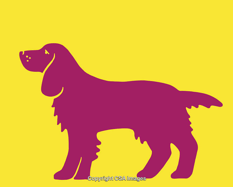 Colorful Dog Silhouette on Vibrant Yellow Background Artwork