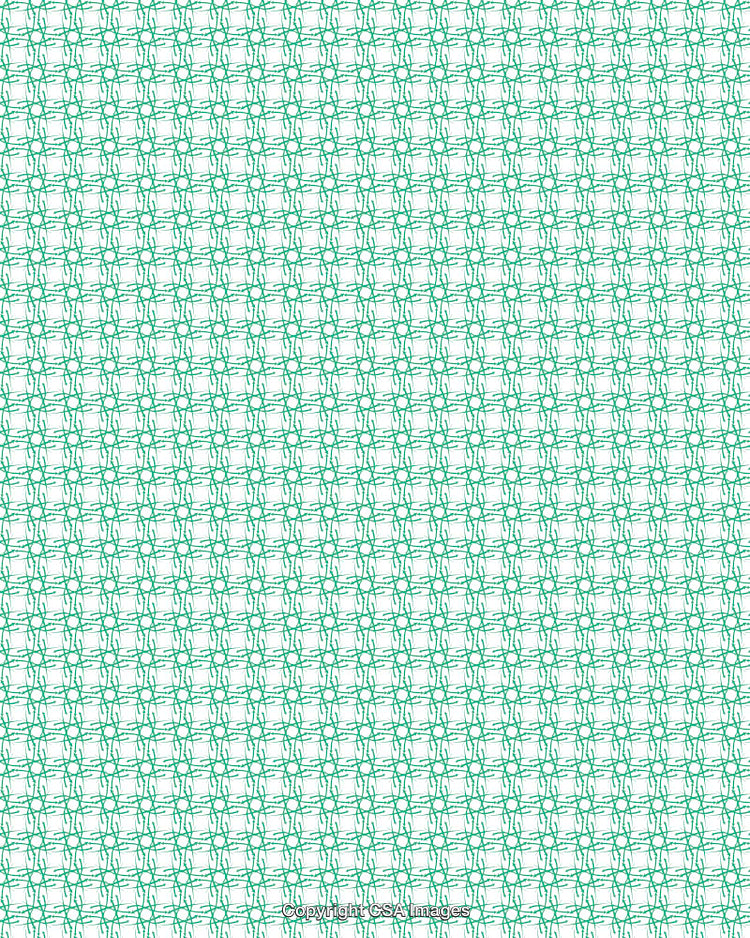 Green Line Pattern on a Clean White Background