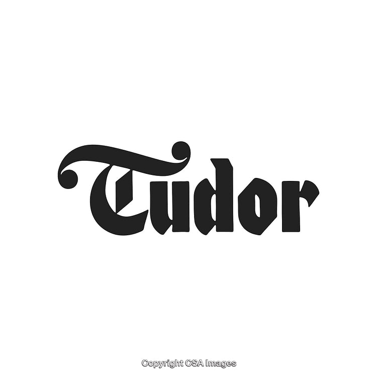 Elegant Tudor Logo with Bold Black Typeface on White Background