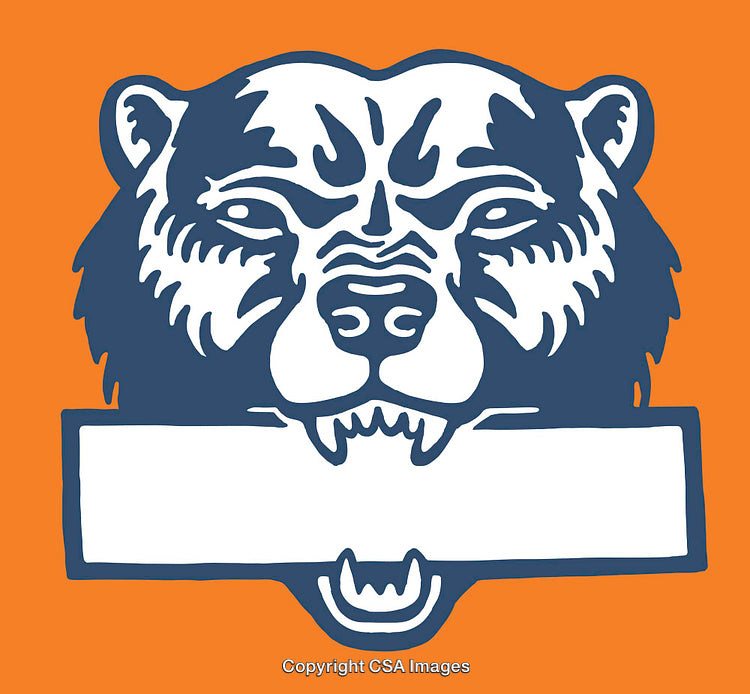 Bold Line Art Illustration of Bear Face on Orange Background