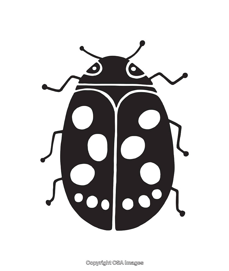 Black and White Ladybug Line Art Illustration on a White Background