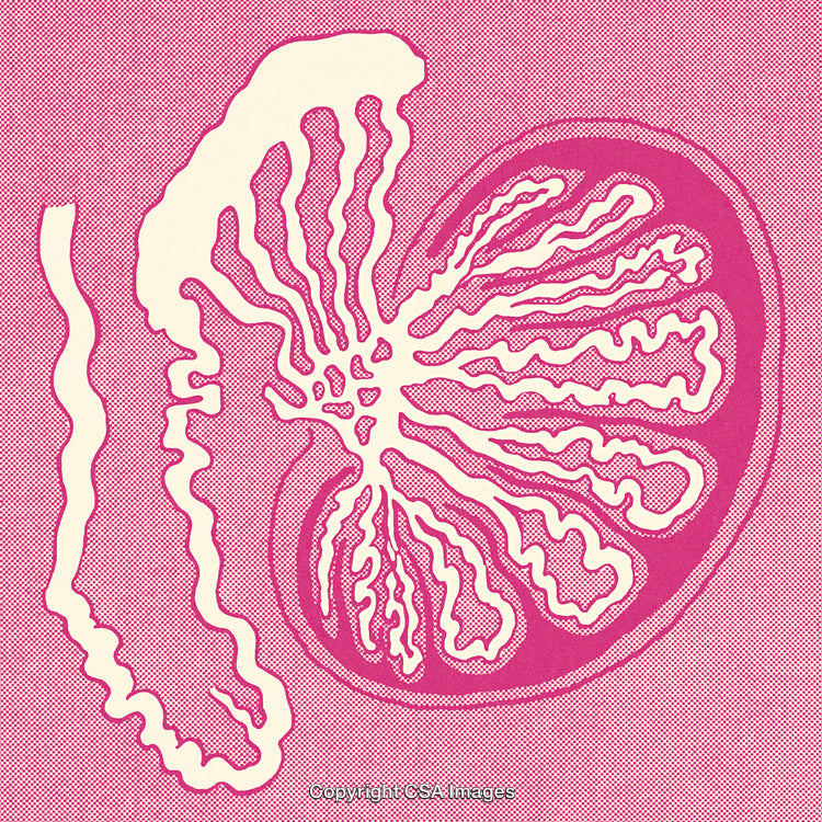 Abstract Graphic Illustration of a Citrus Fruit Cross-Section in Bold Pop Art Style