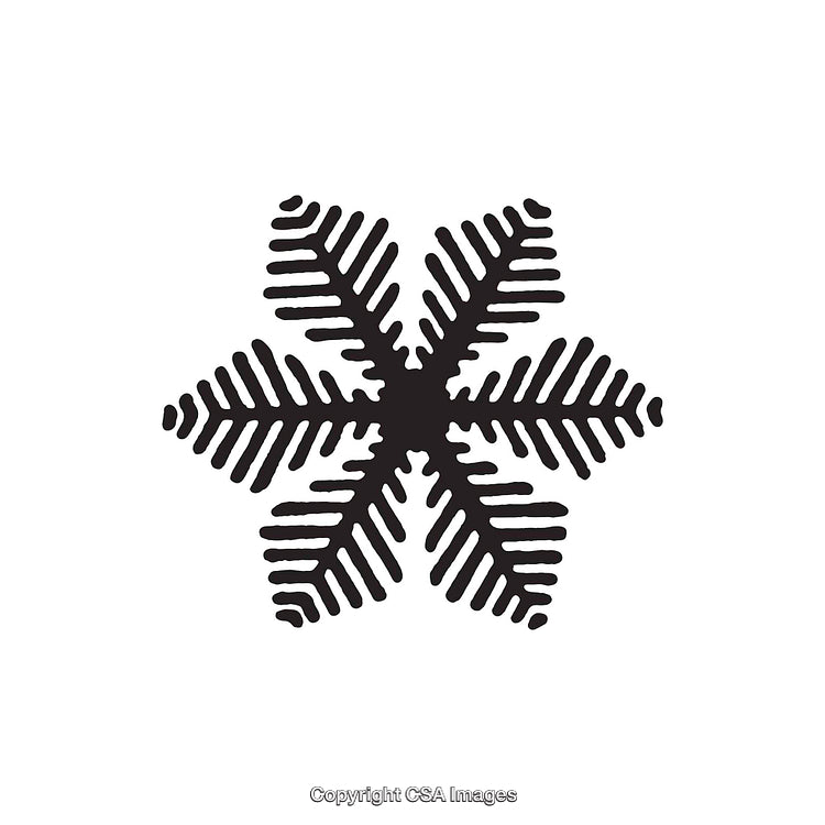 Stylized Black and White Snowflake with Symmetrical Lines Design