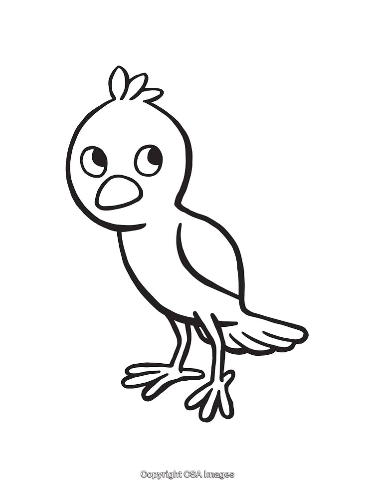 Black and White Line Art Illustration of a Cute Cartoon Bird