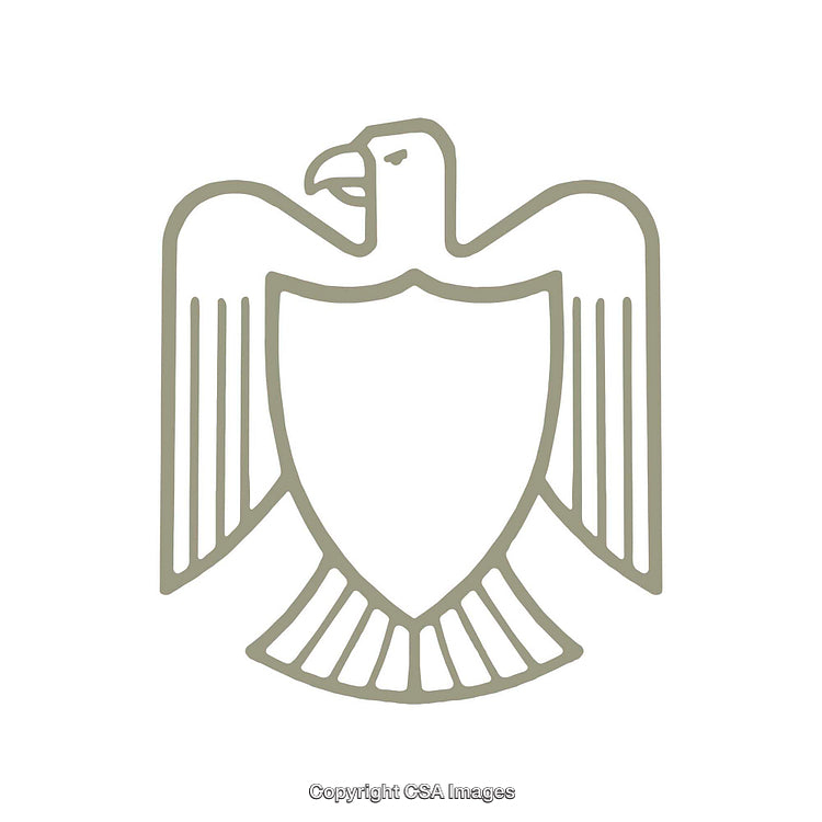 Minimalist Illustration of an Eagle with Shield Symbol Design