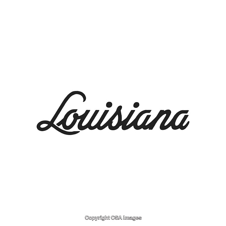 Elegant Typography Featuring the Word 'Louisiana' in a Stylish Script Font Design